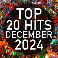 Top 20 Hits December 2024 (Instrumental)