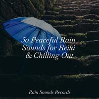 50 Peaceful Rain Sounds for Reiki & Chilling Out