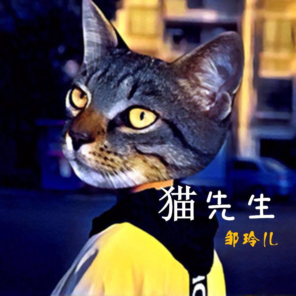 猫先生