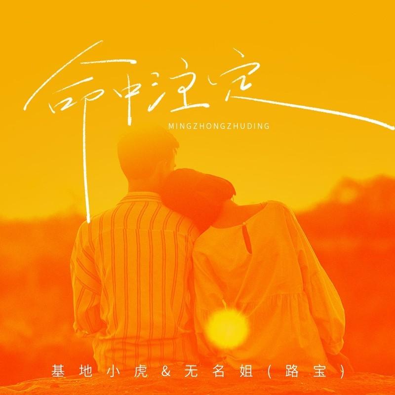 命中注定 (DJ版伴奏)封面