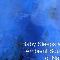 Baby Sleep Song资料,Baby Sleep Song最新歌曲,Baby Sleep SongMV视频,Baby Sleep Song音乐专辑,Baby Sleep Song好听的歌