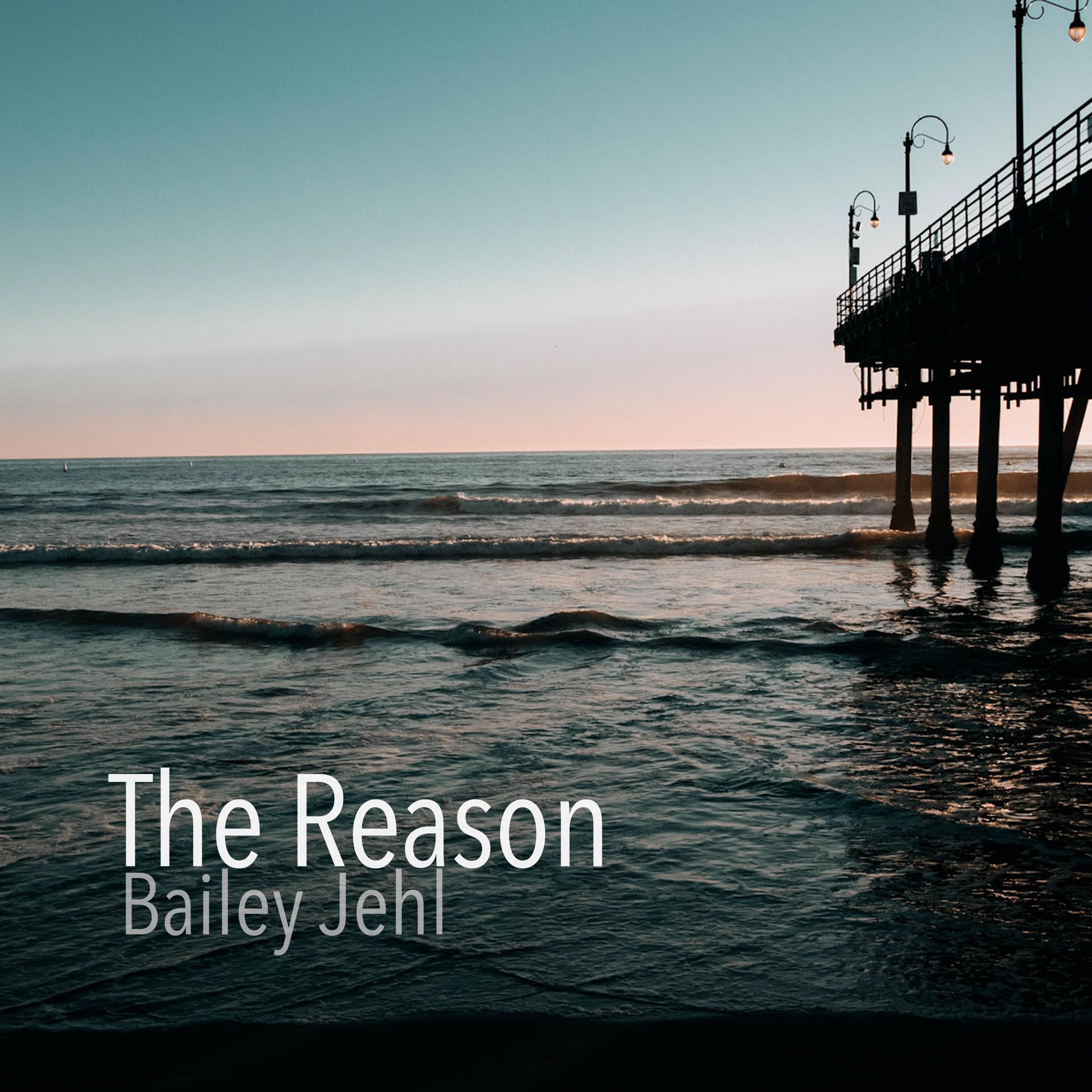 The Reason