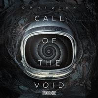 Call Of The Void (Radio Edit)