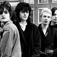 Siouxsie and the Banshees