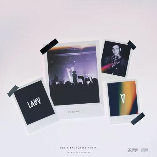 Paranoid (Felix Palmqvist Remix)