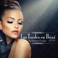 Las Tardes En Ibiza 2014 mixed by Sebastian Gamboa