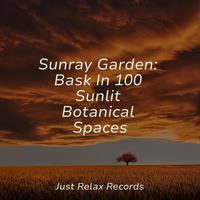 Sunray Garden: Bask In 100 Sunlit Botanical Spaces