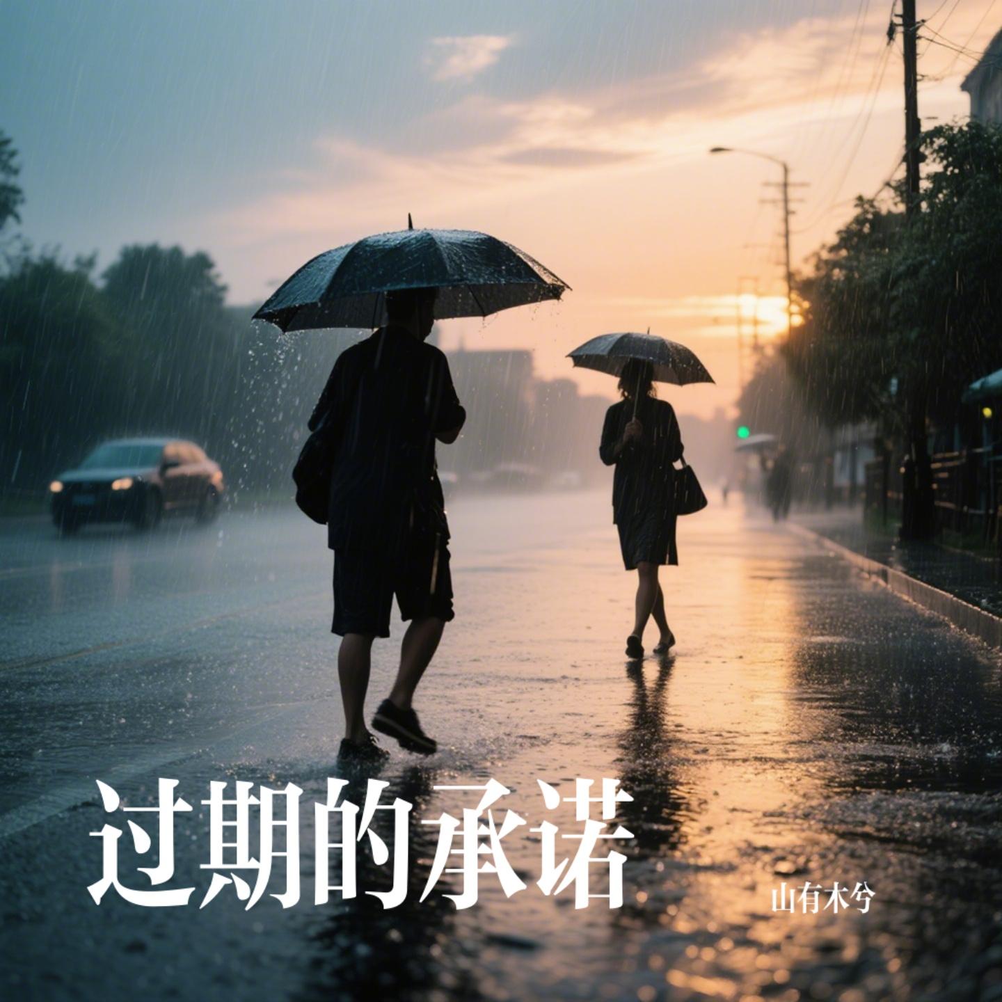 过期的承诺封面