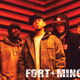 Fort Minor