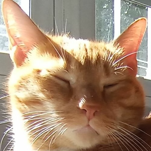 Ferrari (DBA's Gabber Remix)