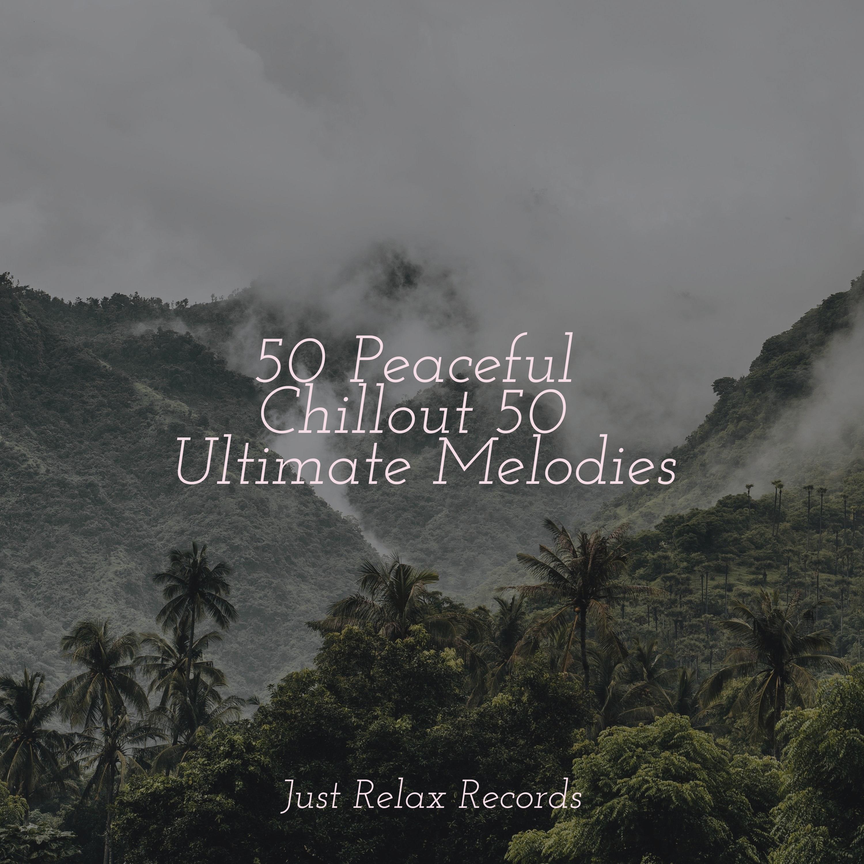 Endless Spellbound Symphony Japanese Relaxation and Meditation/Lucid