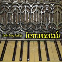 Instrumentalis