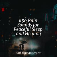 #50 Rain Sounds for Peaceful Sleep and Healing