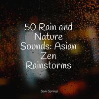 50 Rain and Nature Sounds: Asian Zen Rainstorms