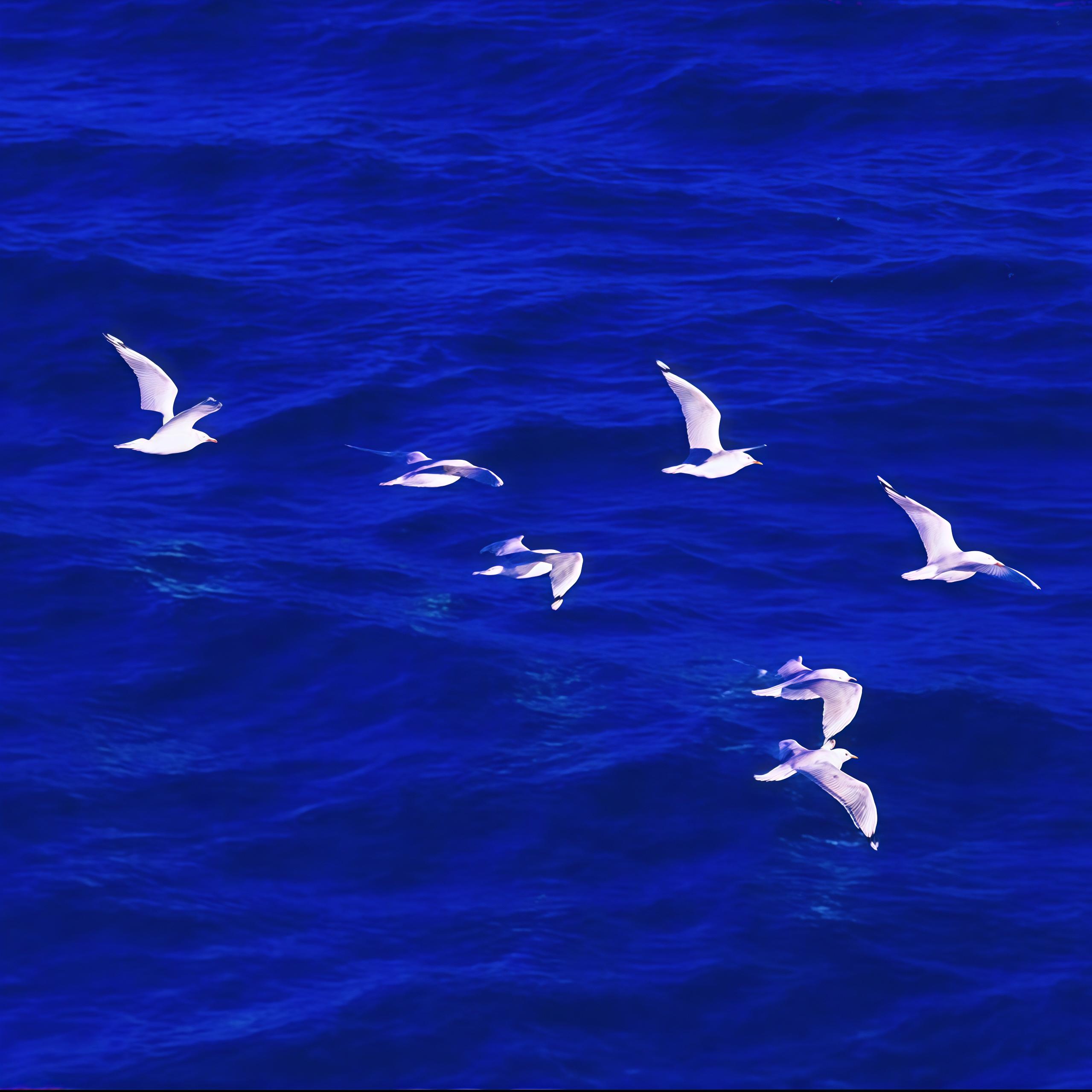 克莱因之心 (Klein's Infinium)