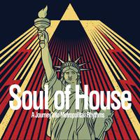 Soul of House