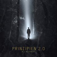 Prinzipien 2.0