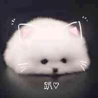 轻音乐