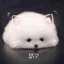 轻音乐