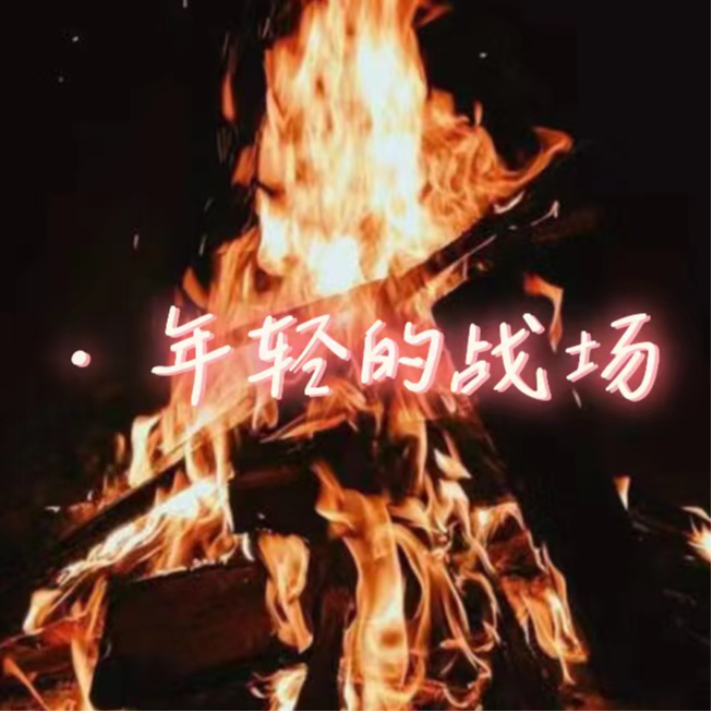 年轻的战场封面