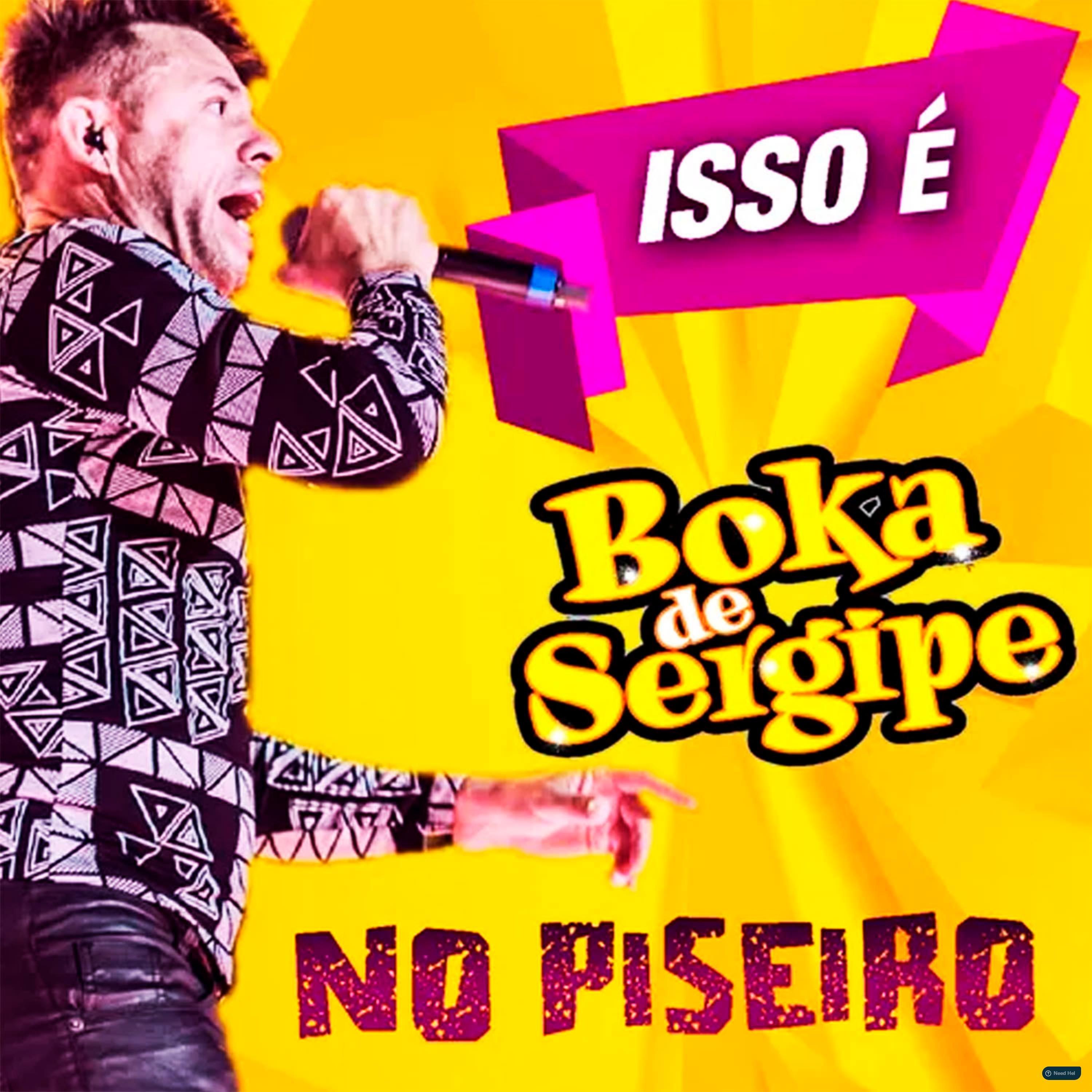 É Joga Água no Piseiro