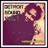 Detroit Sound, Vol. 1