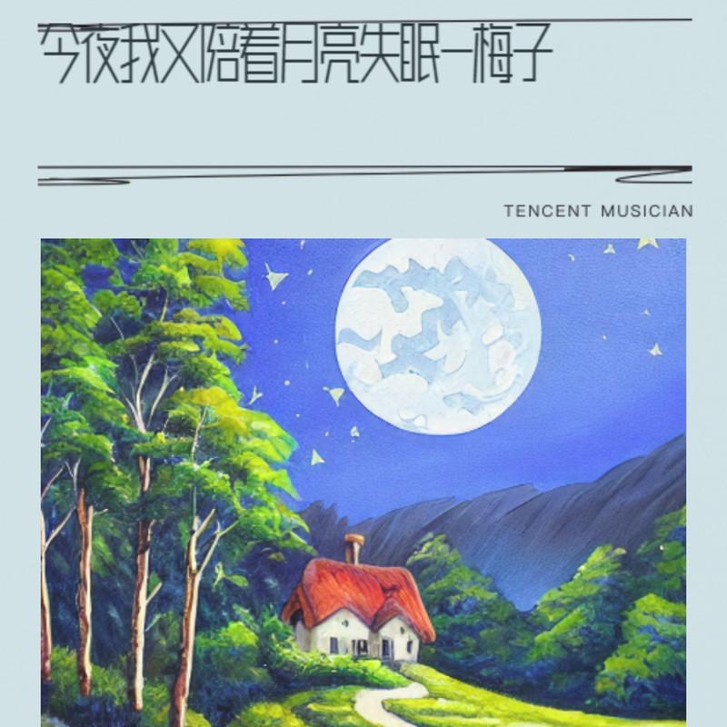 今夜我又陪着月亮失眠 (伴奏) - 若瑜、玉梅君、李国松封面