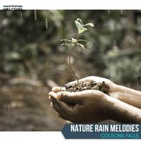 Nature Rain Melodies - Colsons Falls