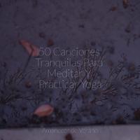 50 Canciones Tranquilas Para Meditar Y Practicar Yoga