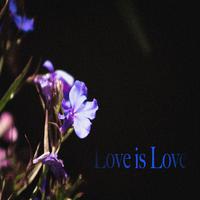 Love Is Love