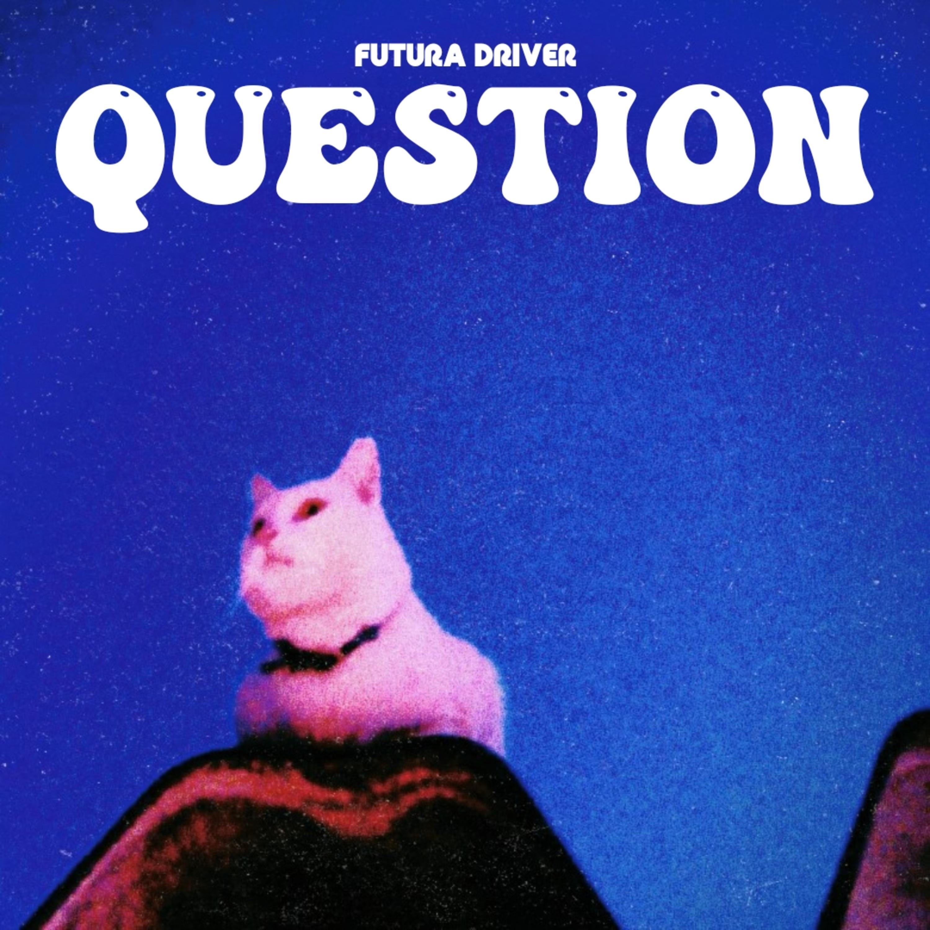 QUESTION