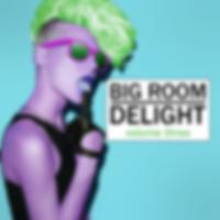 Big Room Delight, Vol. 3