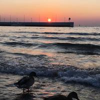 把话埋在心底 - 情结(你们的好朋友大雨)