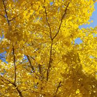 半包红河资料,半包红河最新歌曲,半包红河MV视频,半包红河音乐专辑,半包红河好听的歌