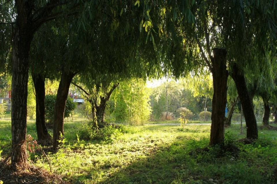 YOCY晨-爱在深秋（米乐 remix）