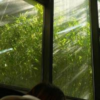 助眠轻音乐资料,助眠轻音乐最新歌曲,助眠轻音乐MV视频,助眠轻音乐音乐专辑,助眠轻音乐好听的歌