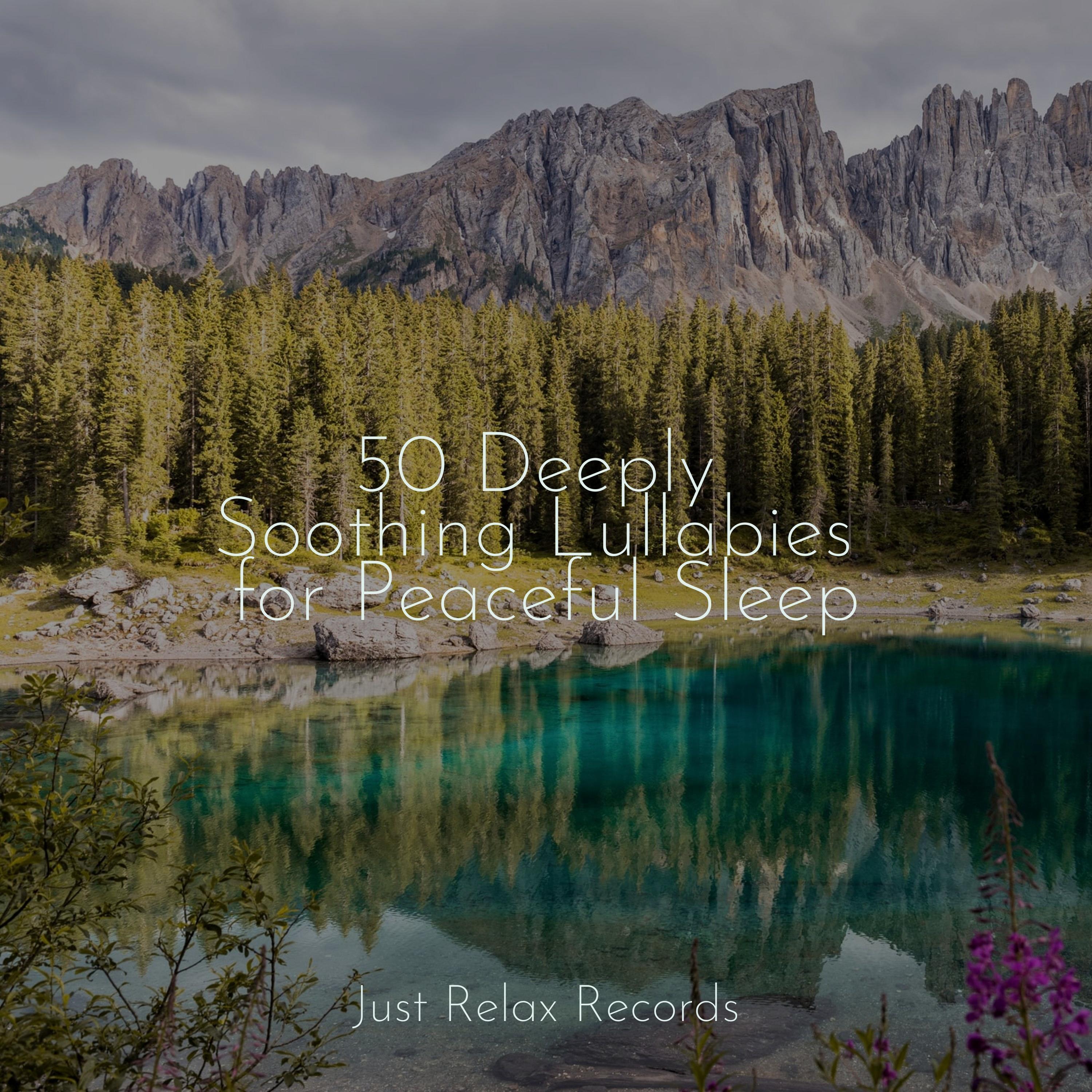 Enchanted Cadence of Solitude