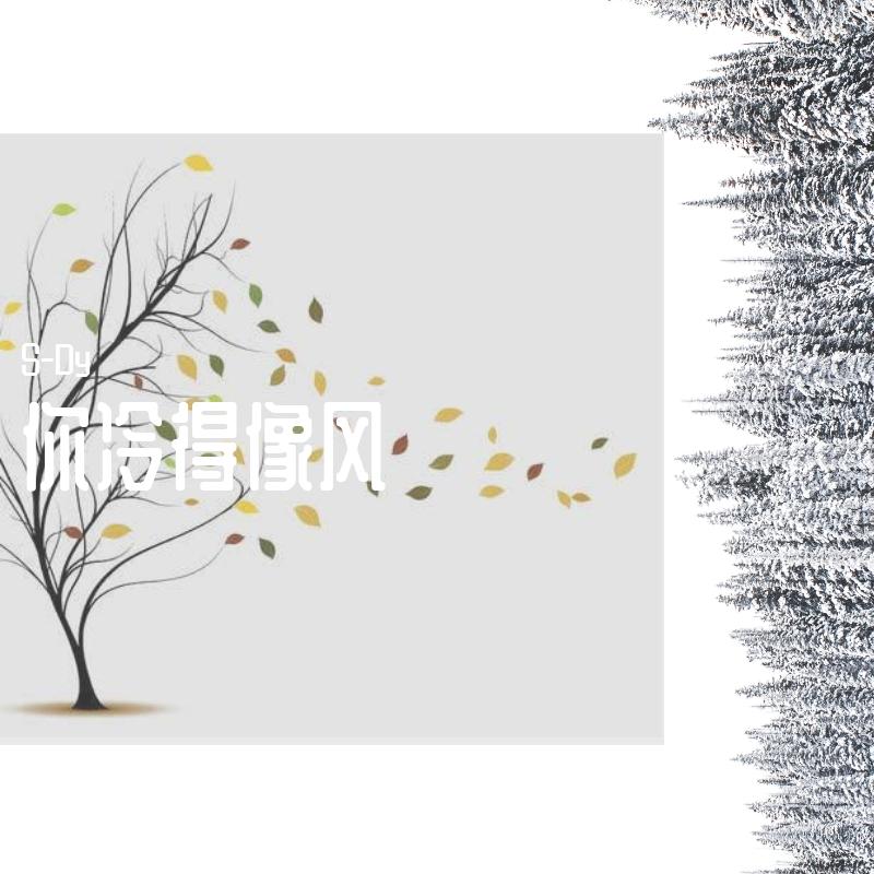 你冷得像风封面
