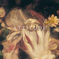 ATTITUDE 0.5