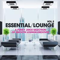 Essential Lounge, Vol. 2