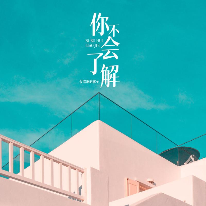 你不会了解 - 爱唱歌的骡子封面