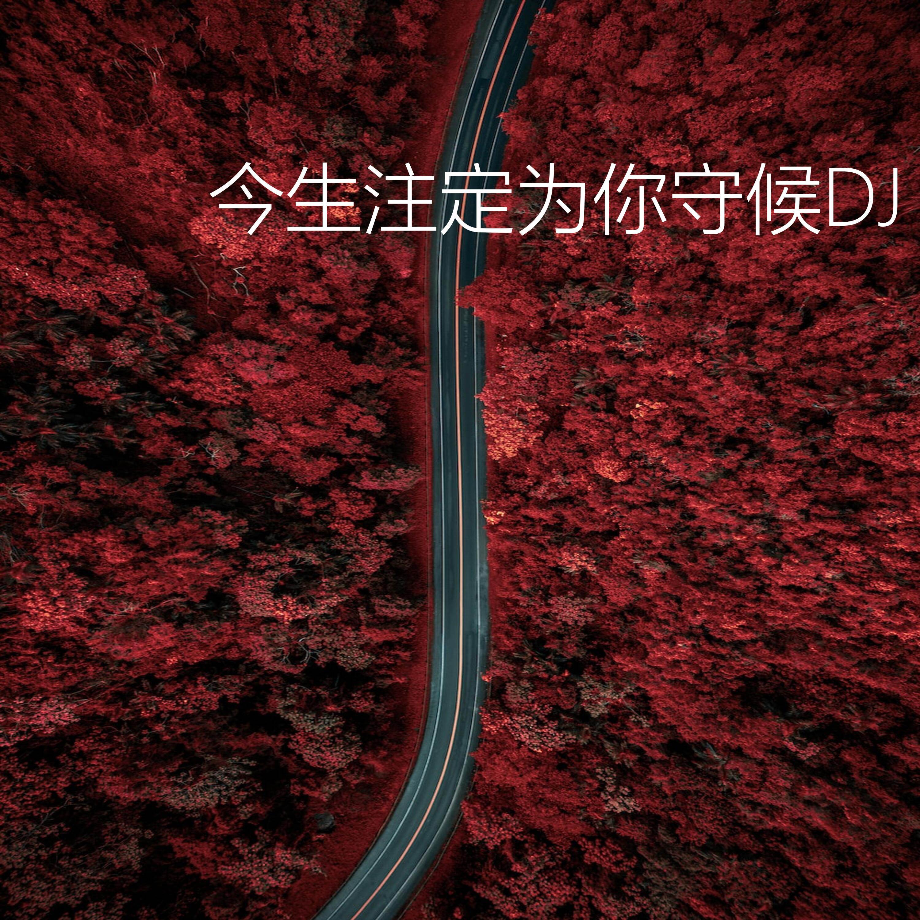 今生无缘(DJ版)封面