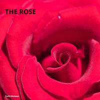 The Rose