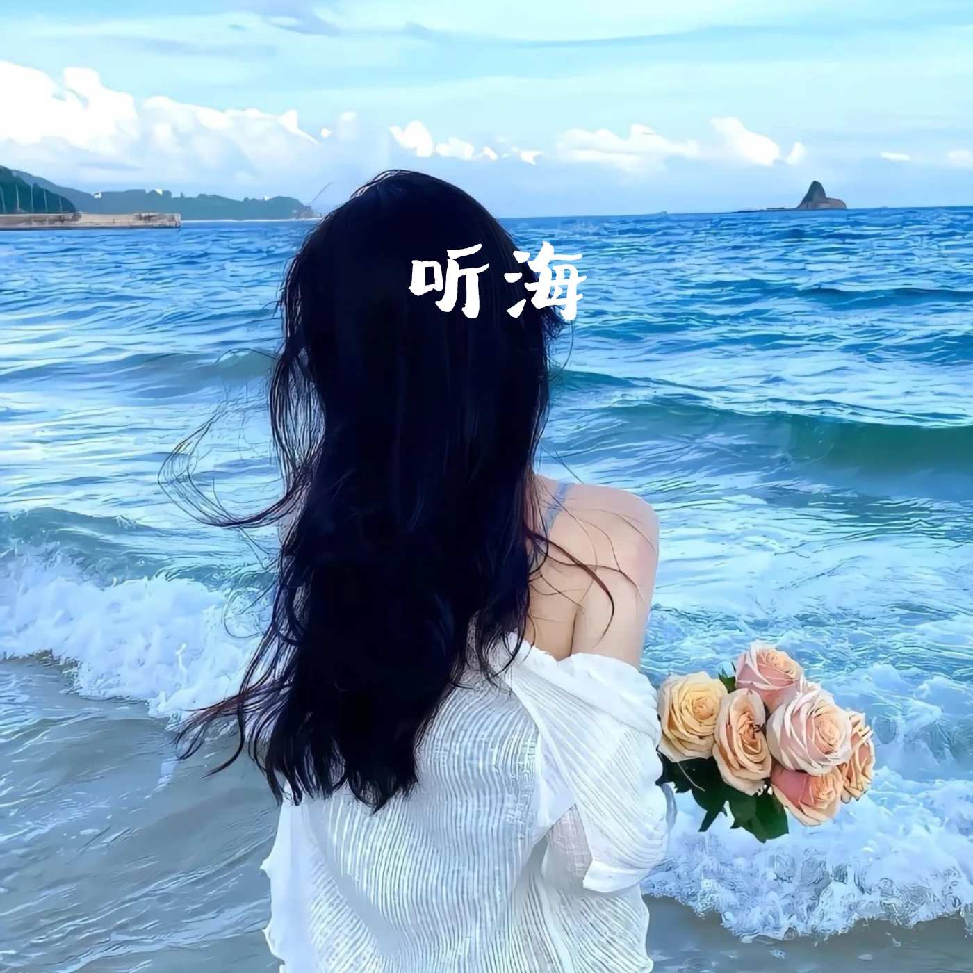 听海(深情女版)封面