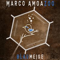 Blaumeise