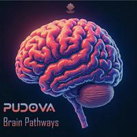 Brain Pathways