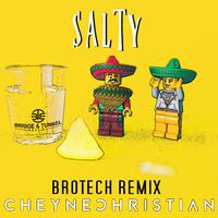 Salty (Brotech Remix)