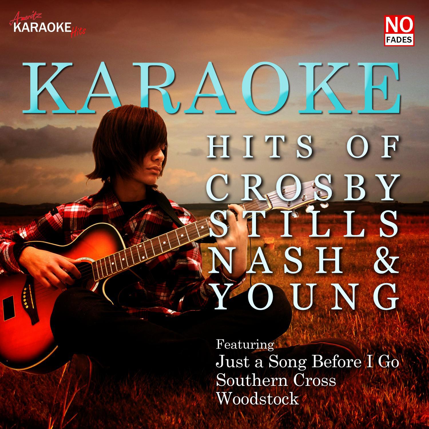 karaoke - hits of crosby, stills, nash and young