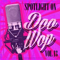 Spotlight on Doo Wop, Vol. 13