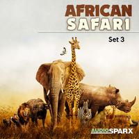 African Safari, Set 3